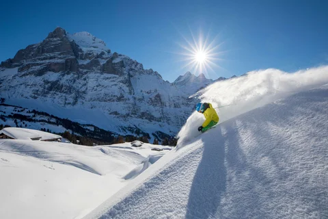 Ski & Snowboard Paradise view 1